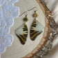 Swordtail Butterfly Earrings