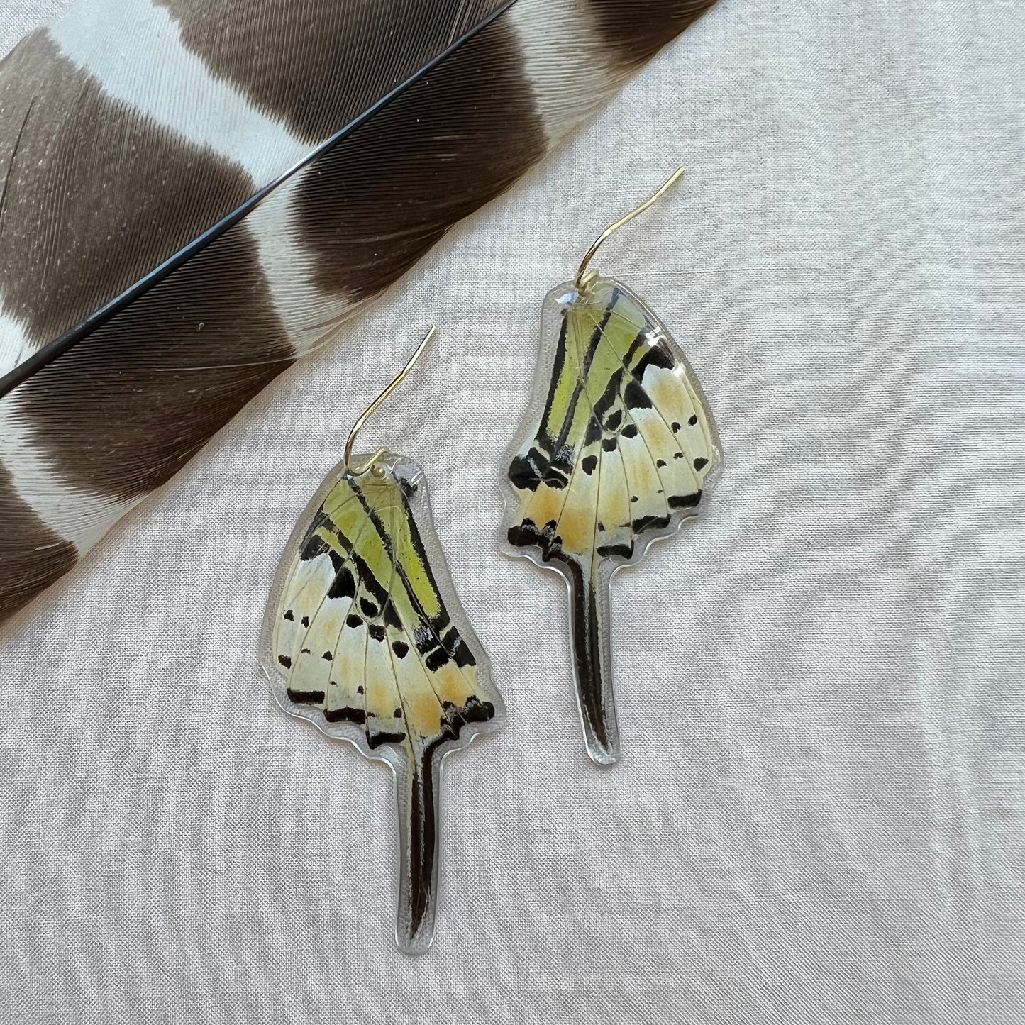 Swordtail Butterfly Earrings