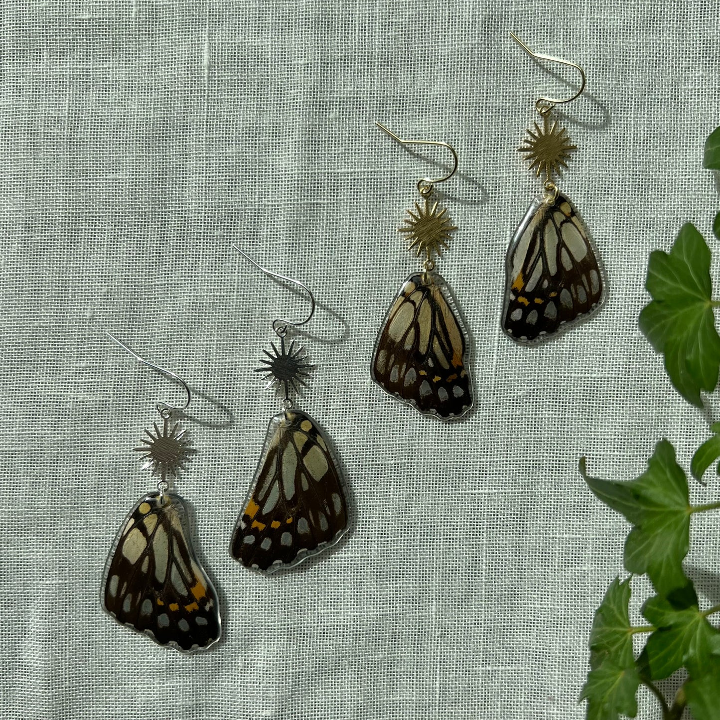 Common Jay Earrings