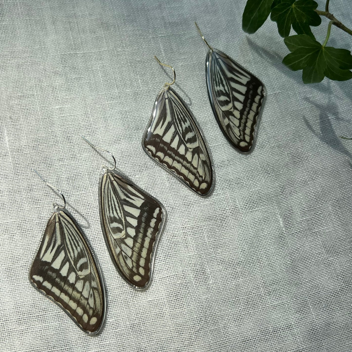 Xuthus Swallowtail Earrings