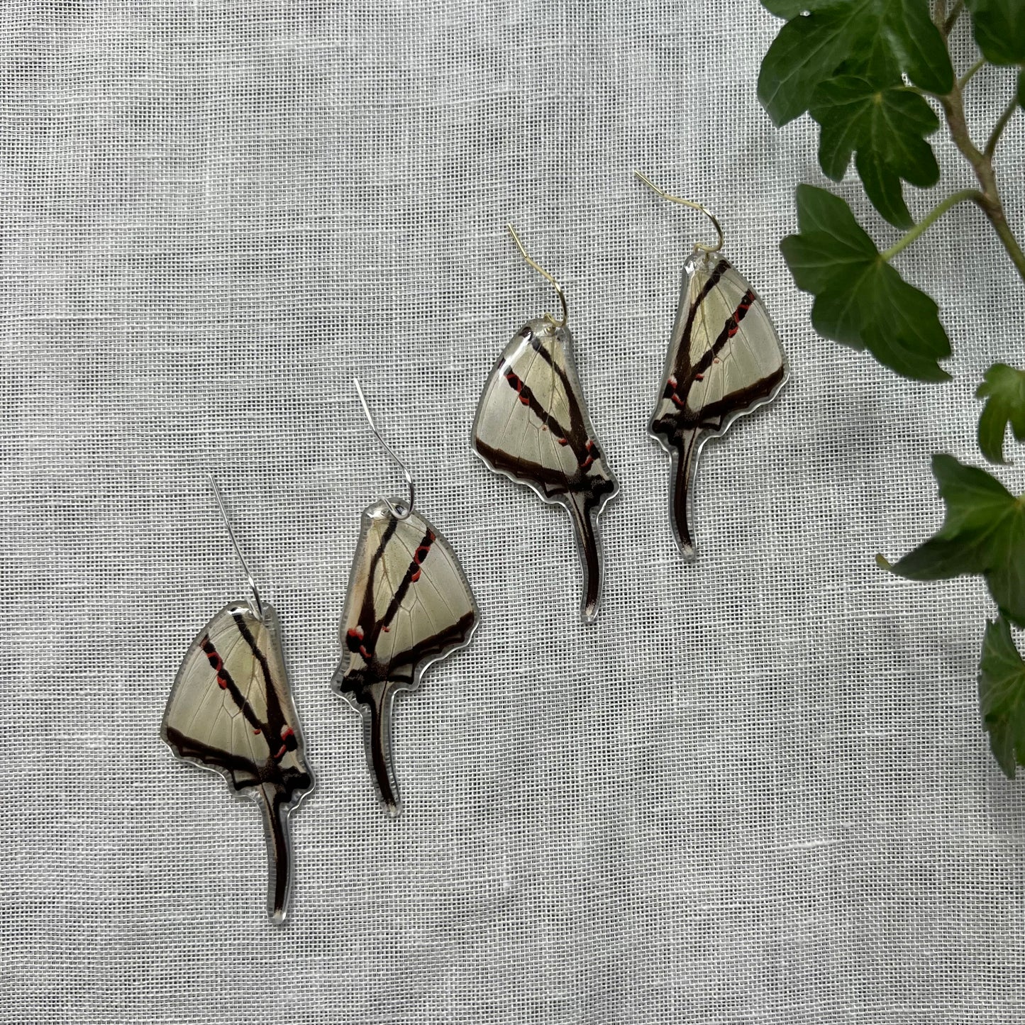 Zebra Swallowtail Earrings
