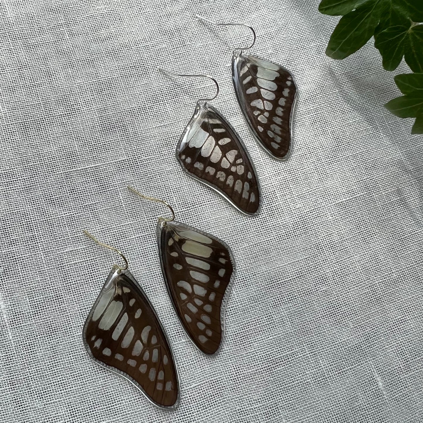 Common Jay Earrings
