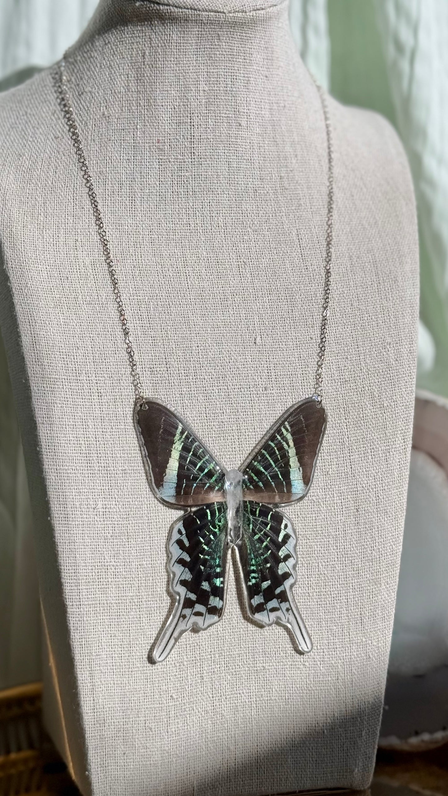 Urania Moth Necklace