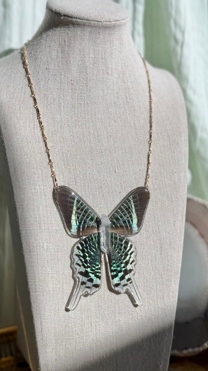 Urania Moth Necklace