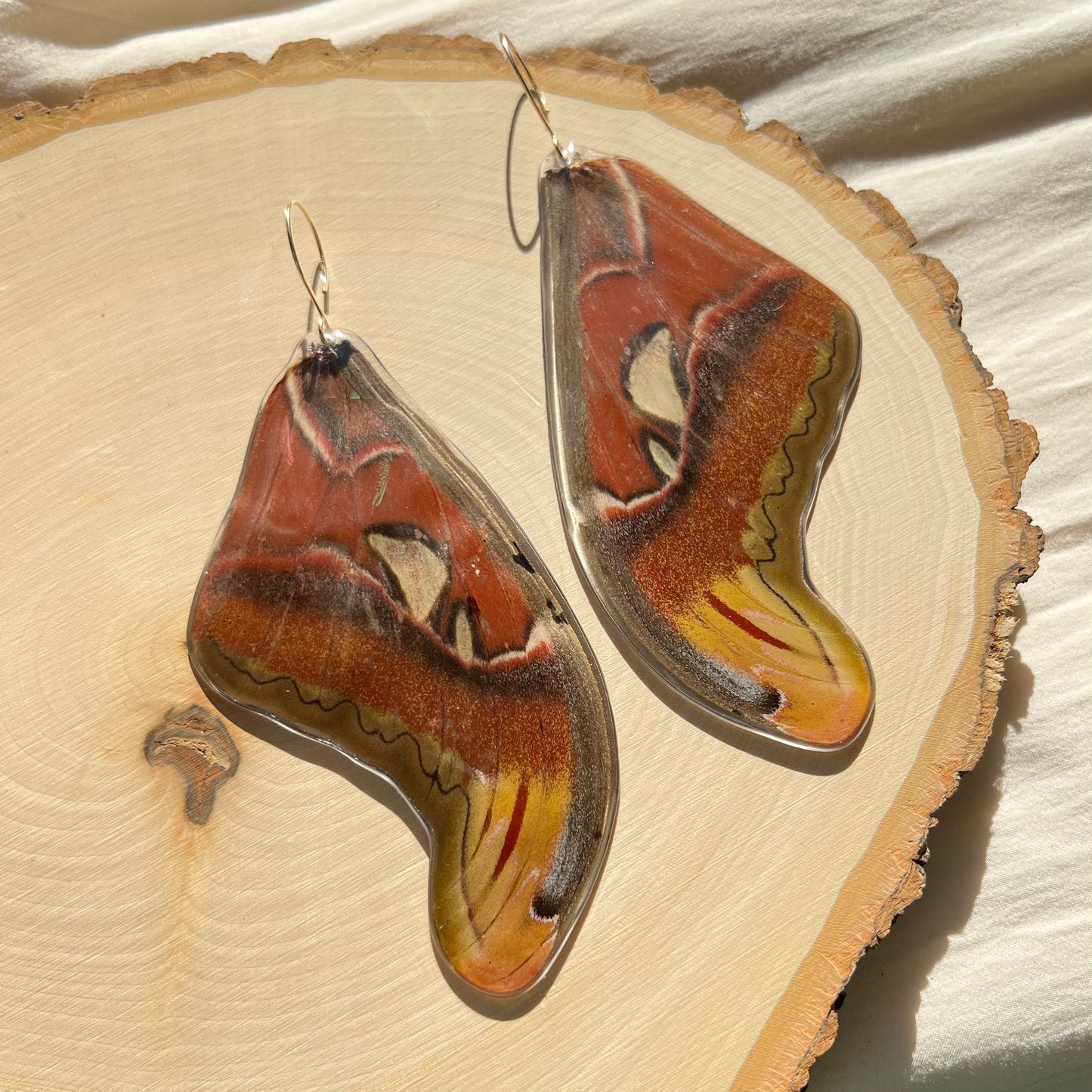 Atlas Moth Earrings