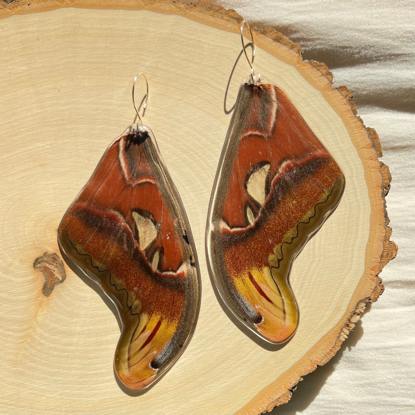Atlas Moth Earrings