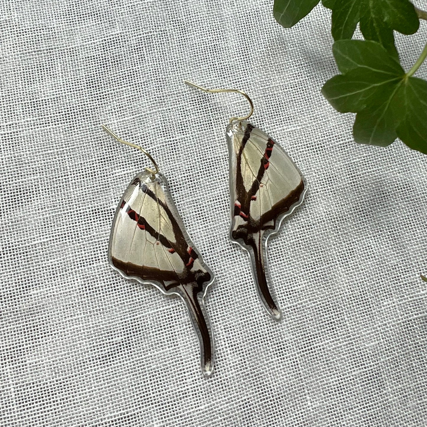 Zebra Swallowtail Earrings