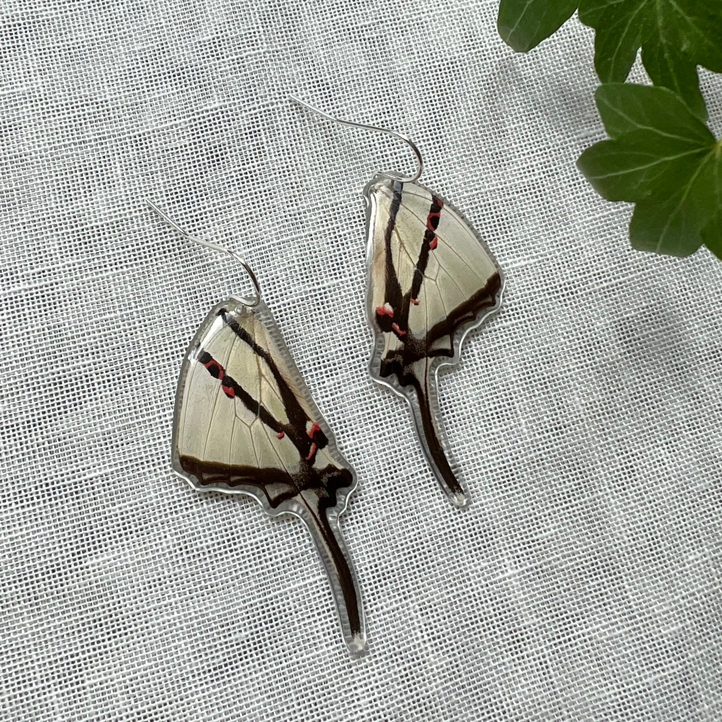 Zebra Swallowtail Earrings