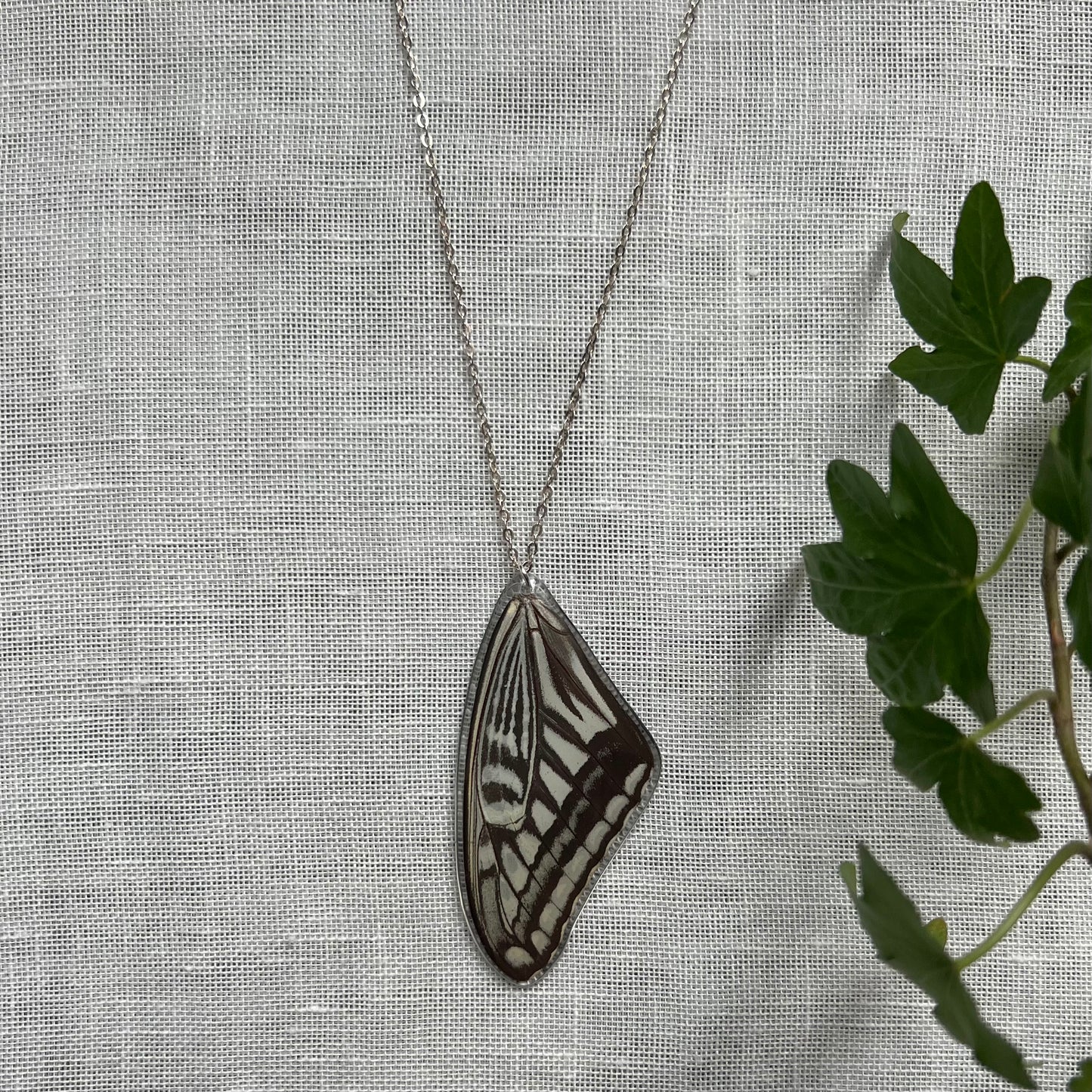 Xuthus Swallowtail Necklace