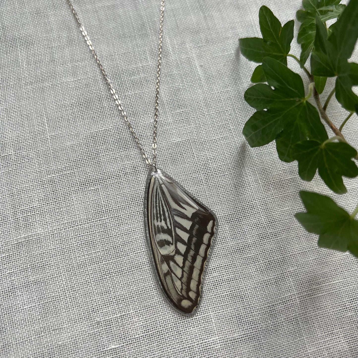 Xuthus Swallowtail Necklace