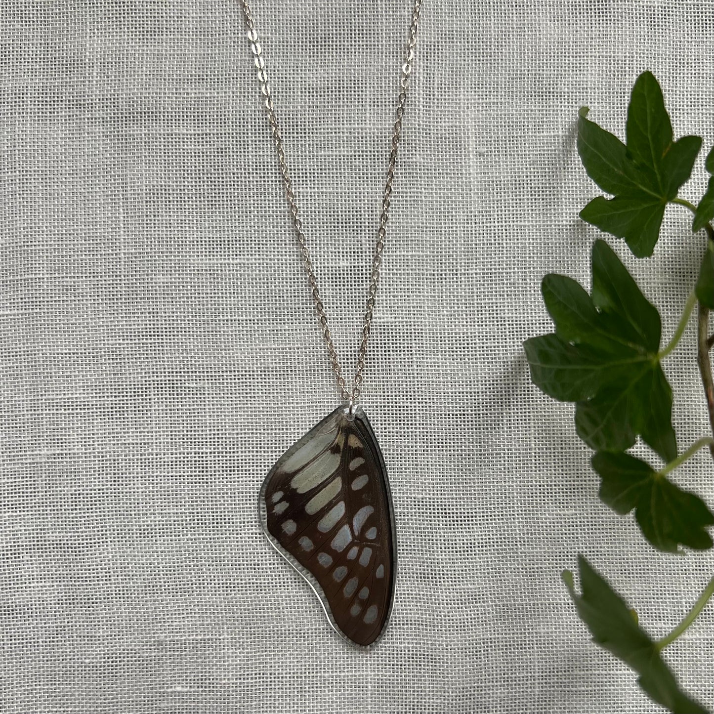 Common Jay Necklace