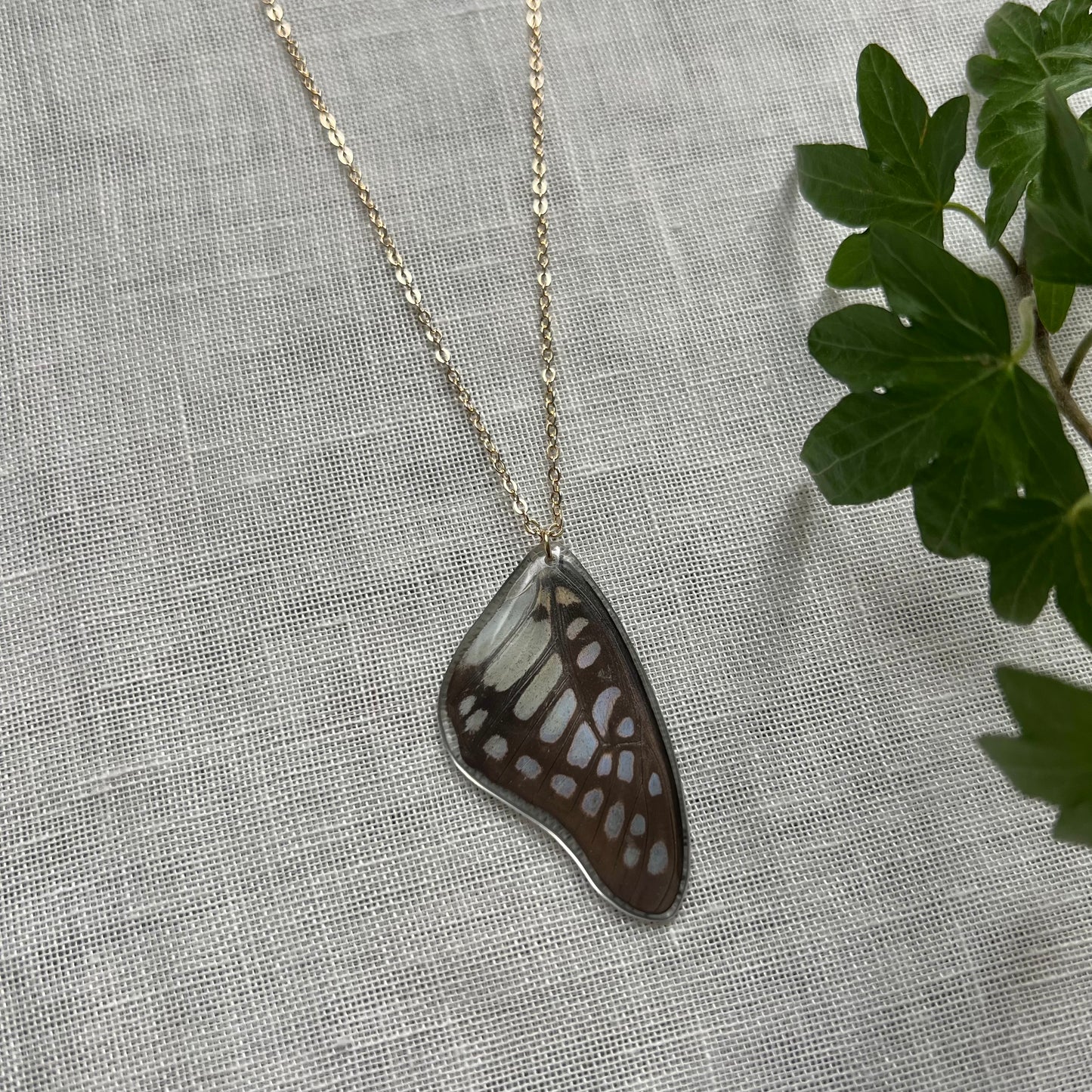 Common Jay Necklace