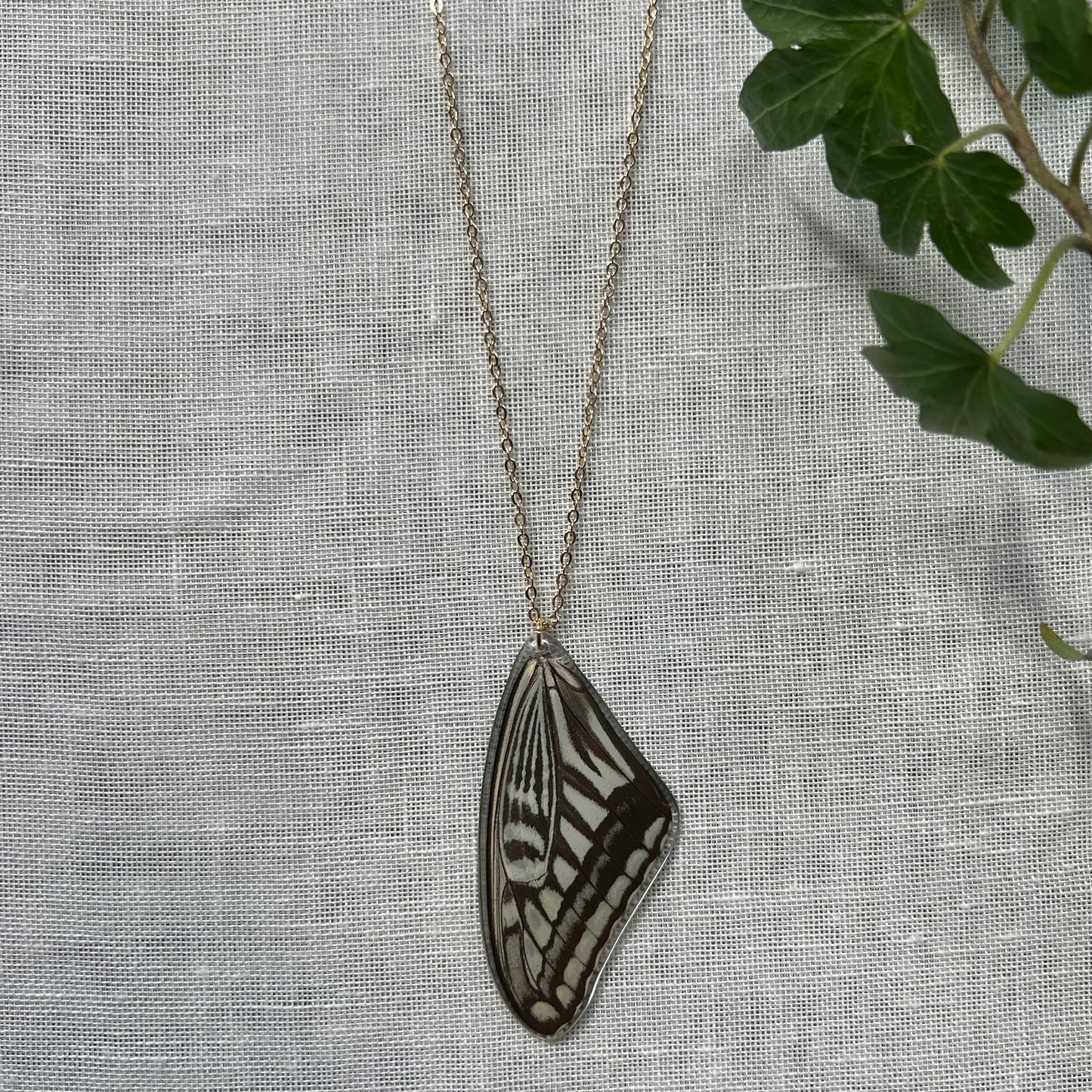 Xuthus Swallowtail Necklace