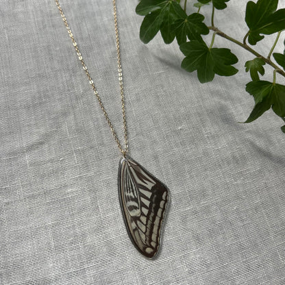 Xuthus Swallowtail Necklace