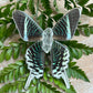 Urania Moth Necklace